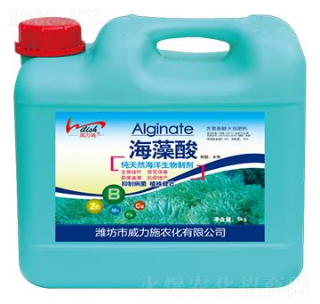 ������-����ʩ