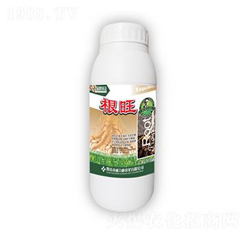 ����ƿ�b-����ʩ