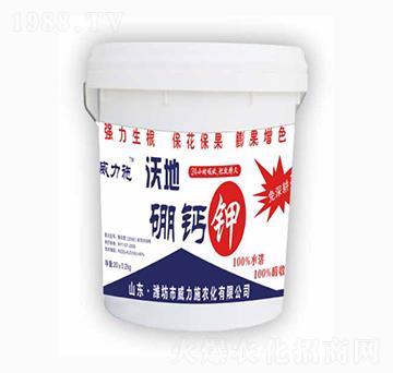 �ֵ����}�-����ʩ