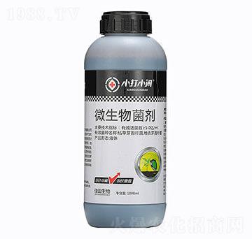 ΢�������-С��С�[-��������