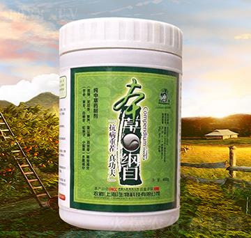 ���в�ˎ�Ƅ�-���ݘ�(l��)��-�r(n��ng)��