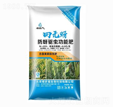 �����(q��)�x(ch��ng)���ܷ�-��o(w��)��-���ร