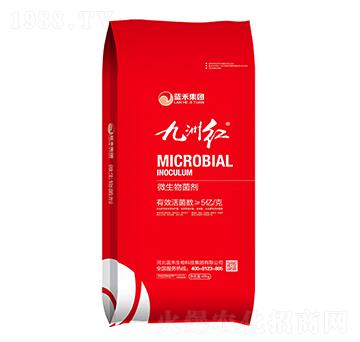 5�|��΢�������-���޼t-�{������