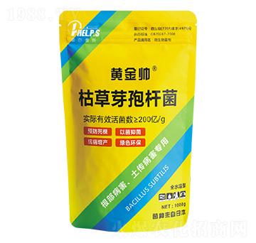 �ݲ�ѿ�ߗU��-�S����-�Ơ���˹