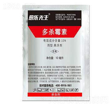 10%����ù�� �������� ̩����H