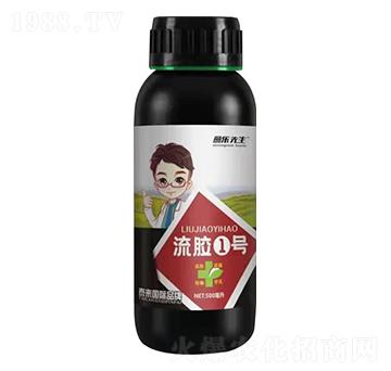 500�������z1̖(h��o) �������� ̩����H