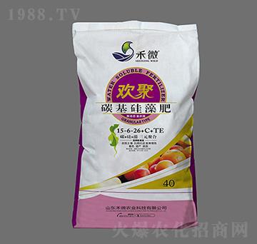 ̼�������15-6-26+C+TE-�g��-��΢