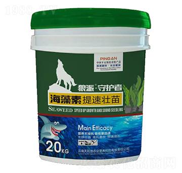 �����ء����ى���-���o��-����