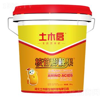 核苷膨靚果 土木啟生物