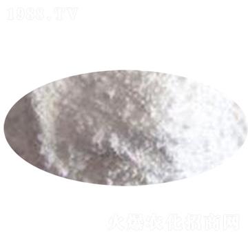 �����}-�xʢ����