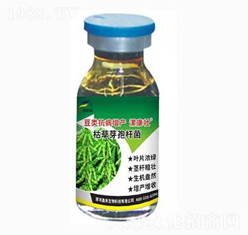 ���(l��i)�������a(ch��n)��(zhu��n)�ã��ݲ�