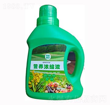 �I�B(y��ng)��sҺ-����ʘI(y��)