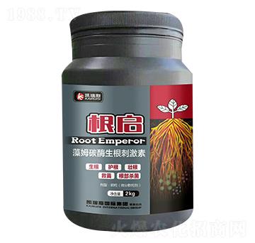 ��ķ̼ø�����̼���-��