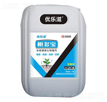 ��̼��΢�������-����