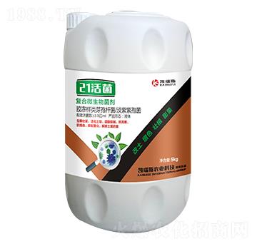 �ͺ�΢�������-21��