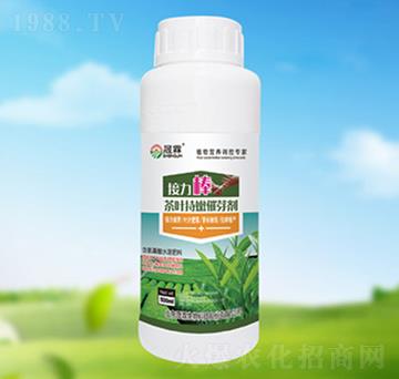 ���~���۴�ѿ��-��������