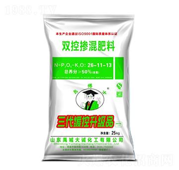 �����p�ؓ������26-