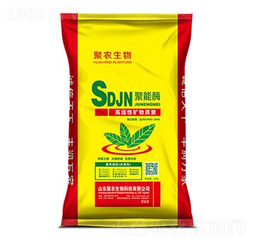 �߻��ԵV���|��-����-���r����