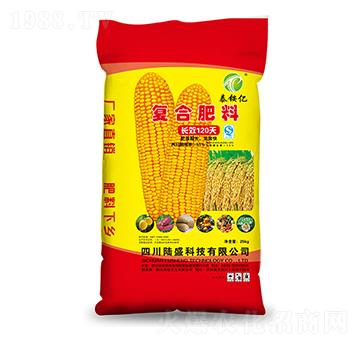 �ͺϷ���-̩�@�|-�ʢ�Ƽ�