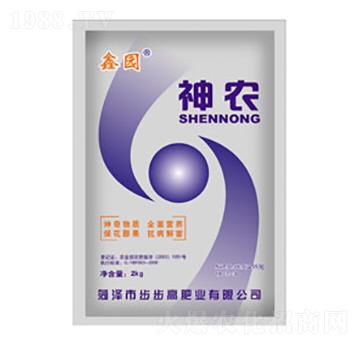 ���r�~���-�Έ@-����