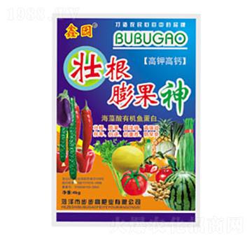 �Ѹ������-�Έ@-�����߷ʘI(y��)