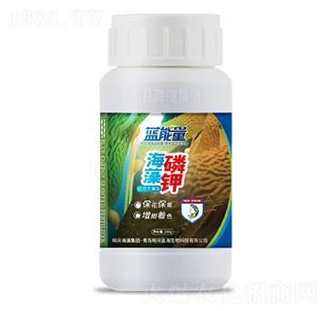 �ٻ��S���ͺ������-�{(l��n)����