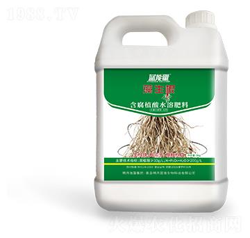 ����ֲ��ˮ�ܷ���-������-�{(l��n)����