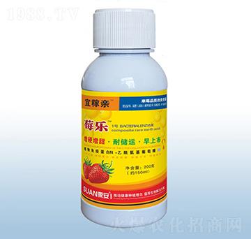 ݮ��-�˼��H-�ڰ�