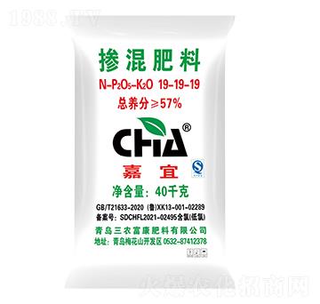 �������19-19-1