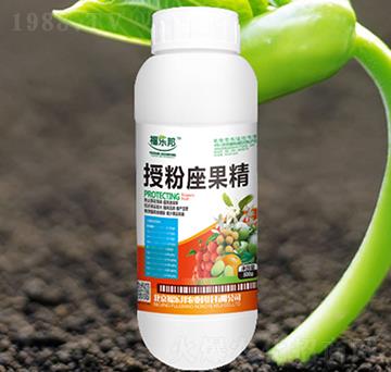 500g�ڷ�������-������