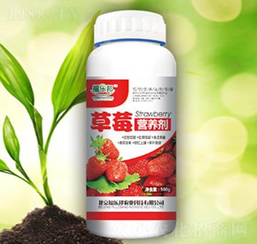 ��ݮ�I(y��ng)�B(y��ng)��-����(l��)��