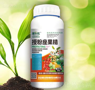 �ڷ�������-������