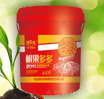 �������-������