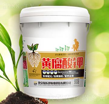 �S�����-������