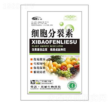 ����������-������