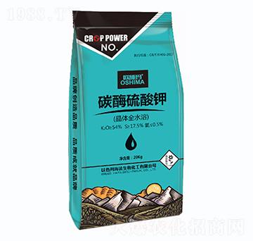 ̼ø�����-һ������