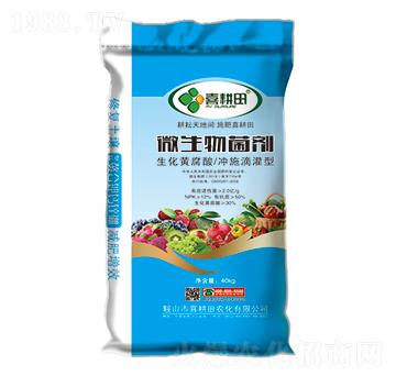 ΢��������������S����