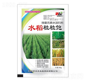 水稻粒粒飽-沃豐澤農(nóng)-沃豐生物