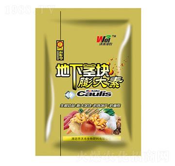 �����o�K�����-���S���r(n��ng)-���S����