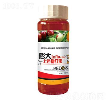 �����ɫ���t��-���S����