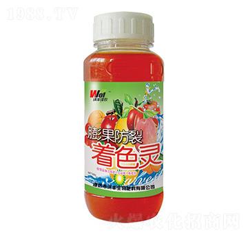 ���������ɫ�`-���S���r-���S����