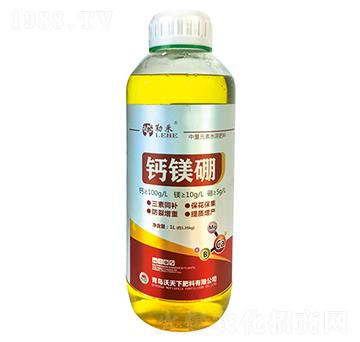 �}�V��-�պ�-����Ԫ��