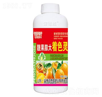 �n�������ɫ�`-�Z����