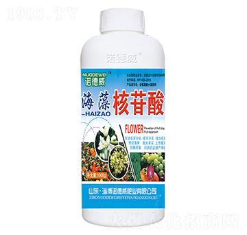 ���������-�Z����