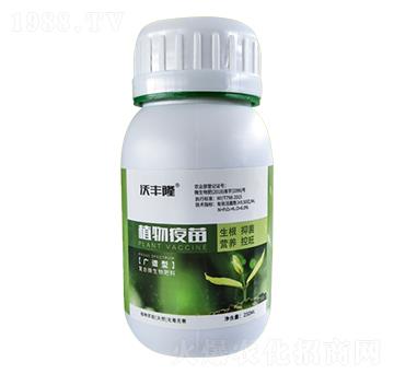 250mlֲ������-��