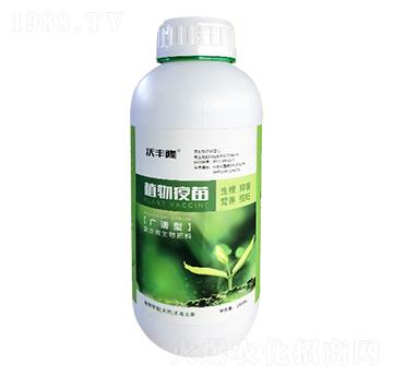 1Lֲ������-��