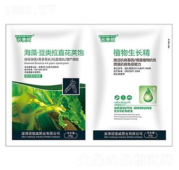 ���塤�����ֱ���v�+