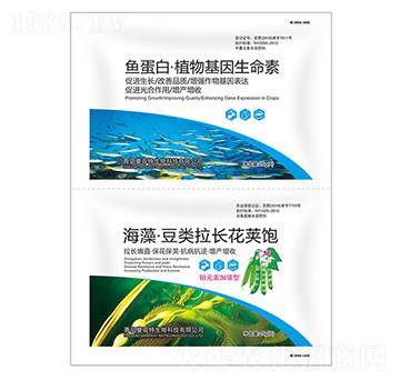 ���塤������L���v�+