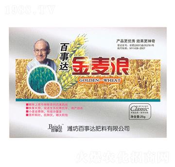 ������-�����_(d��)