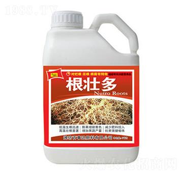 ���Ѷ�-�����_(d��)